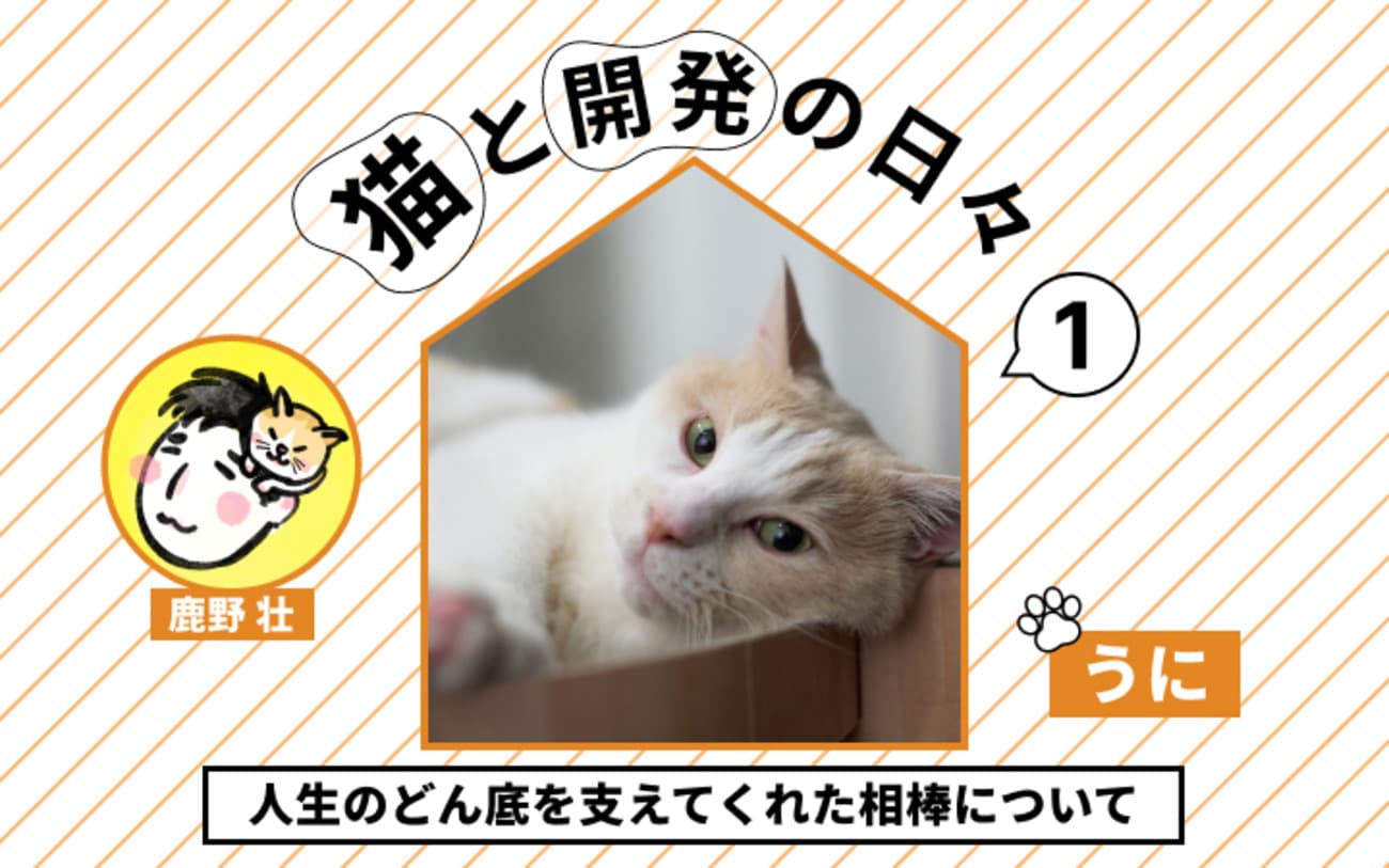 あの日足にしがみついてきた野良猫が、人生のどん底を支えてくれた相棒へ